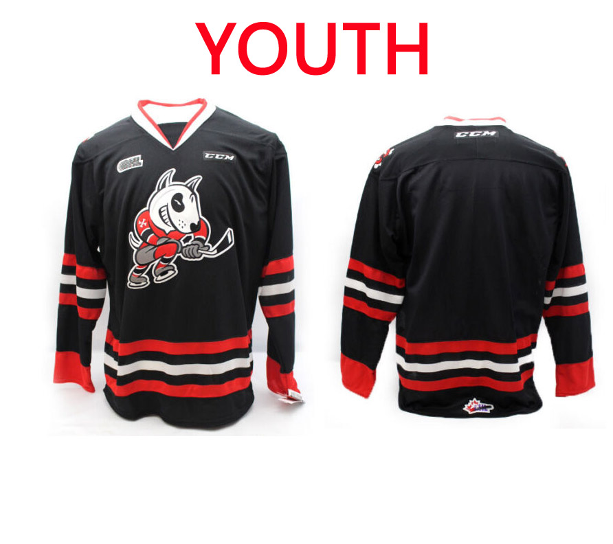Youth Custom Niagara Icedogs OHL Premier Edge Away Replica NHL Jersey Black CCM